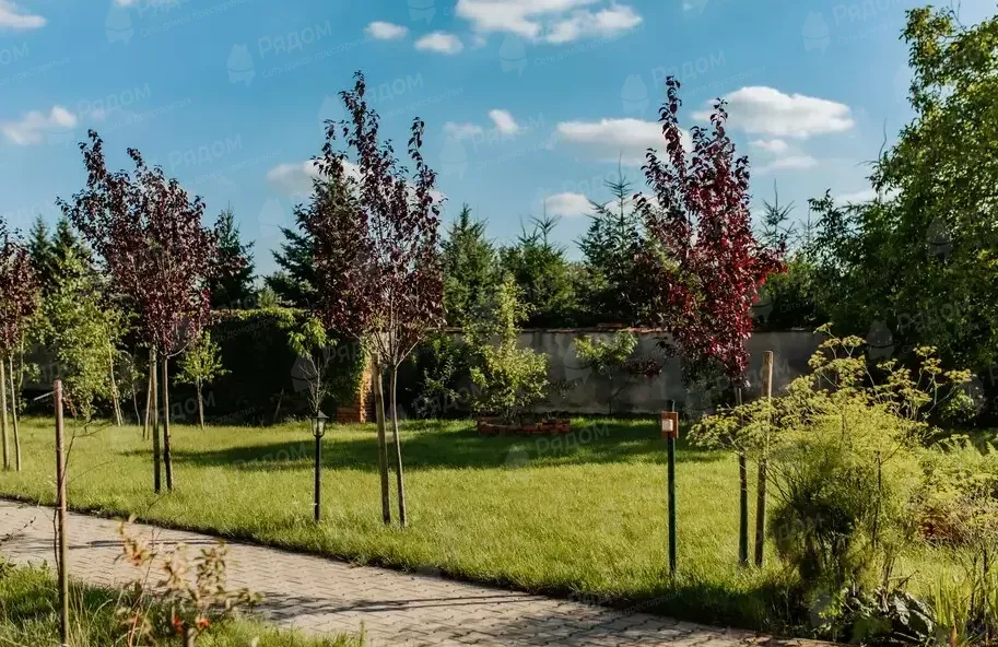 Дом сестринского ухода «Семейный очаг» в Ростове-на-Дону