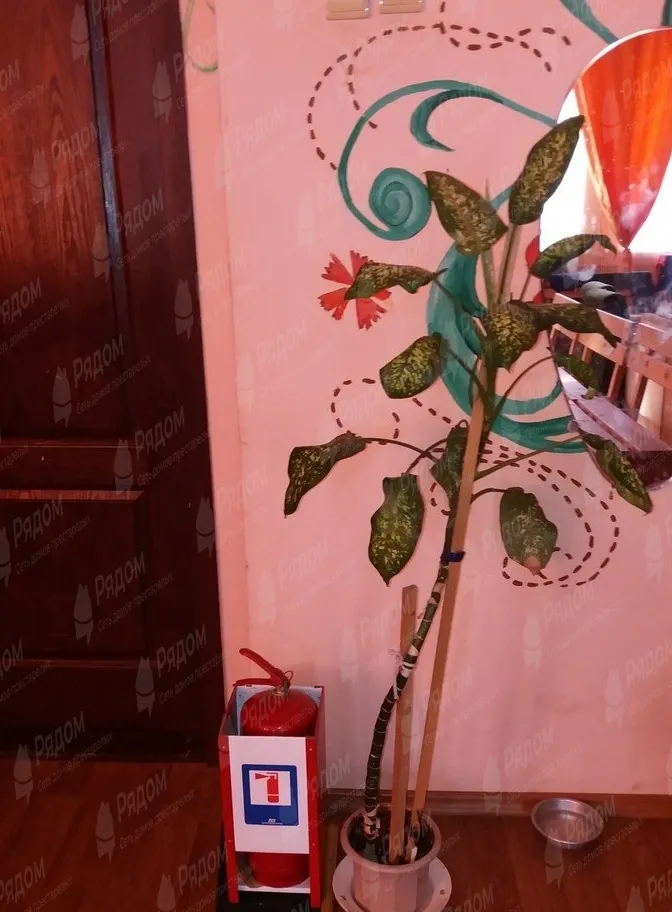 Пансионат за пенсию «Забота и уют» в Ростове-на-Дону